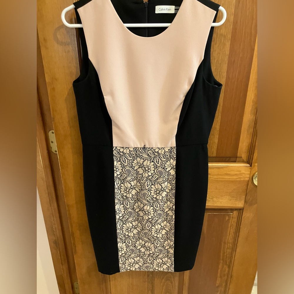 Calvin Klein Black and Blush Lace Panel Dress